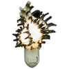 Night Light Black Murex
