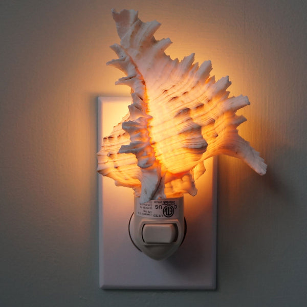 Night Light Pink Murex