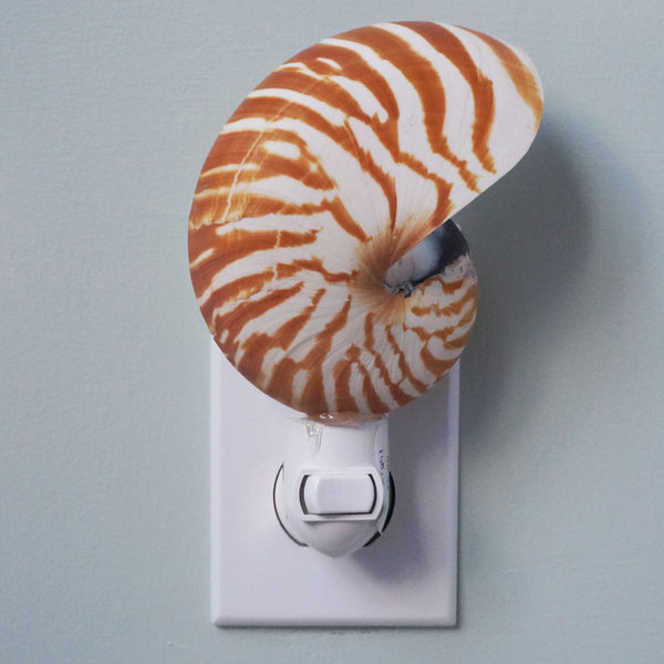 Night Light Tiger Nautilus