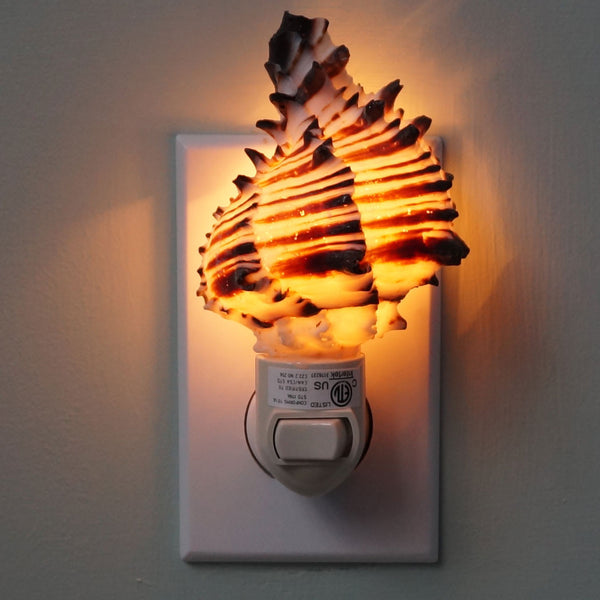 Night Light Black Murex